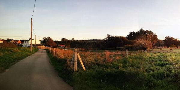 Terreno en calle Granxon, 7