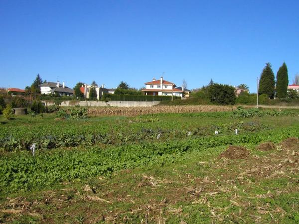 Terreno en calle Granxon, 7