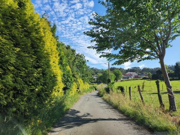 Terreno en Lugar Xuanzo
