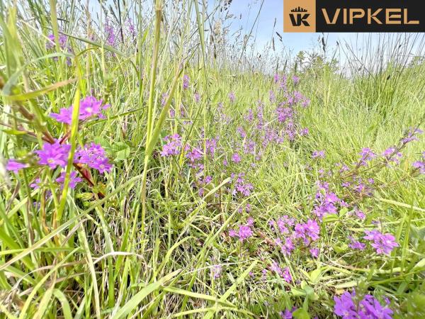 Terreno en calle Airas