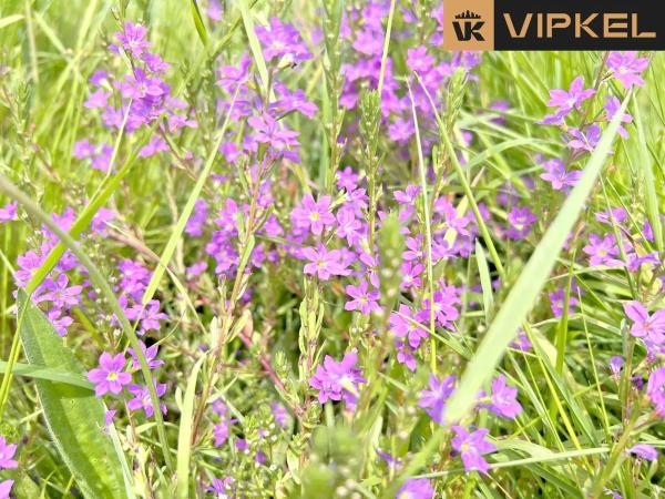 Terreno en calle Airas