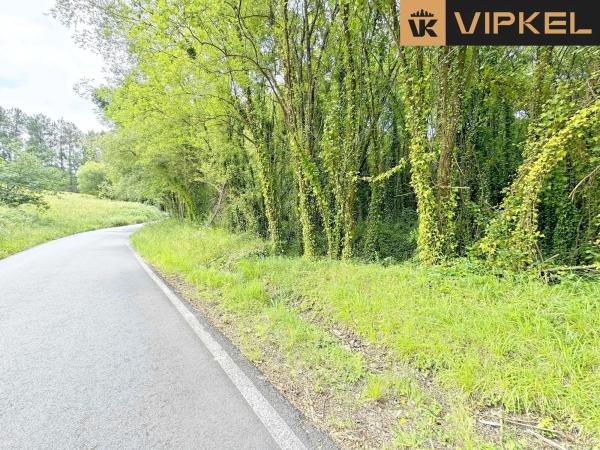 Terreno en Lugar San Roman