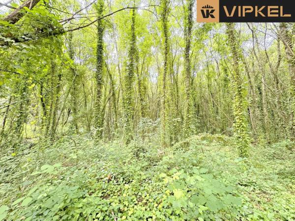 Terreno en Lugar San Roman