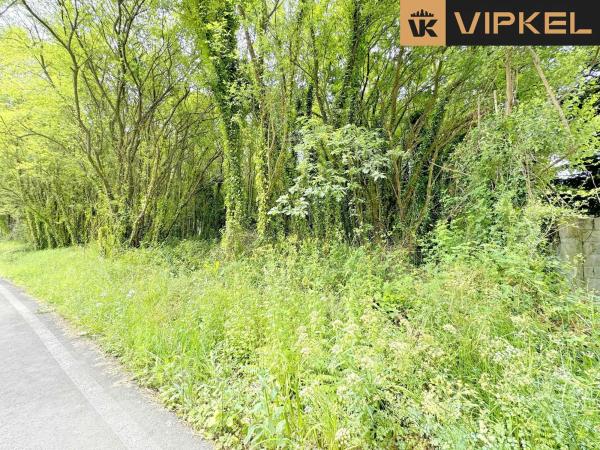 Terreno en Lugar San Roman