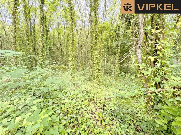 Terreno en Lugar San Roman