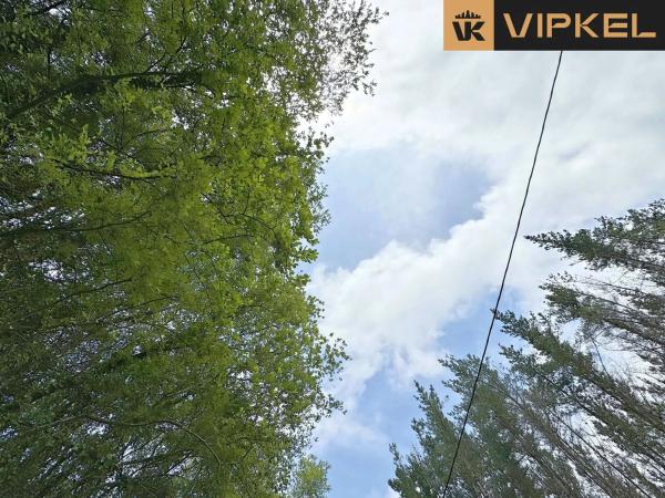 Terreno en Lugar San Roman