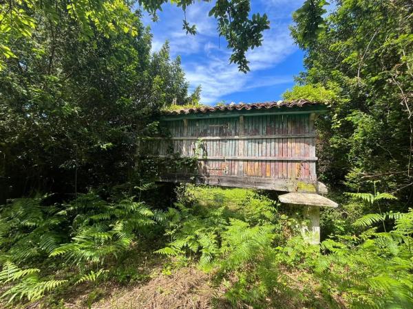 Terreno en camino Perouteiro, 3