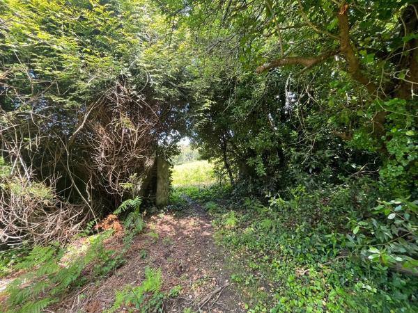 Terreno en camino Perouteiro, 3