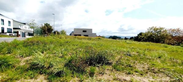 Terreno en calle Ecuador