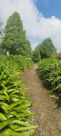 Terreno en calle Ecuador