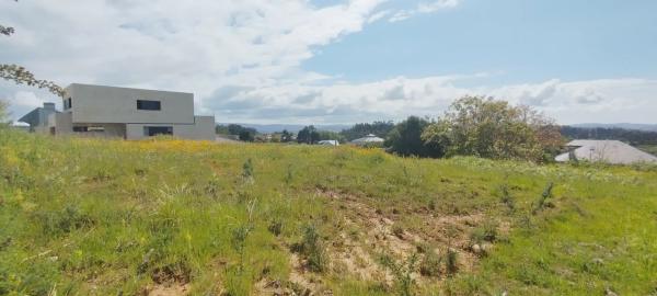 Terreno en calle Ecuador