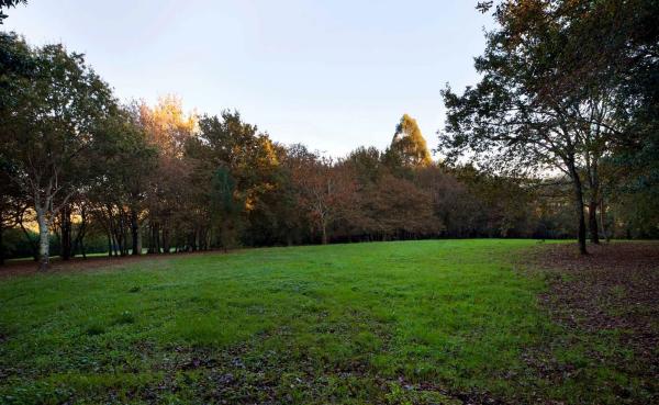 Terreno en Lugar Pazo, Polígono 3, Crendes, 835