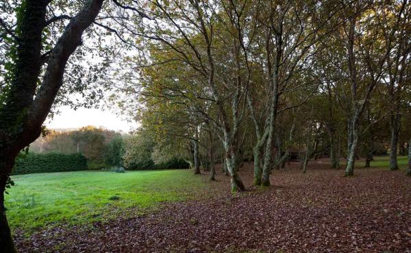 Terreno en Lugar Pazo, Polígono 3, Crendes, 835