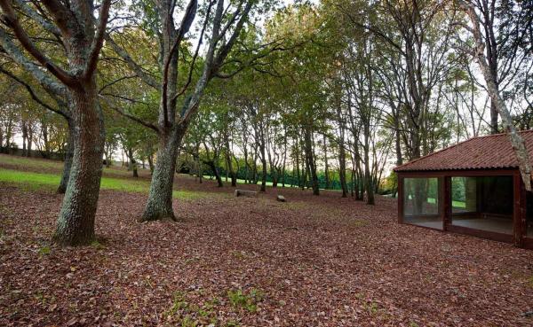 Terreno en Lugar Pazo, Polígono 3, Crendes, 835