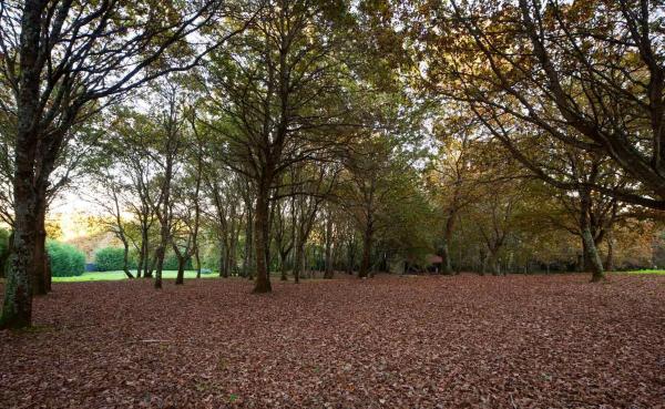 Terreno en Lugar Pazo, Polígono 3, Crendes, 835