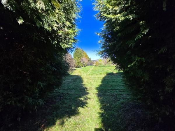 Terreno en calle Catasol, 42