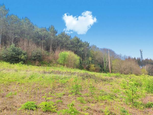 Terreno en Cabrois s/n