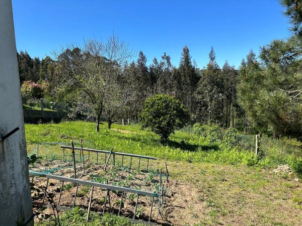 Terreno en calle Reveriano Soutullo, 8