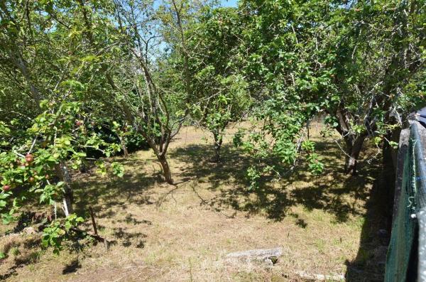 Terreno en plaza da Rabadeira