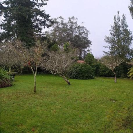 Terreno en avenida Ramón Núñez Montero, 55