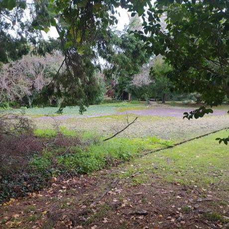 Terreno en avenida Ramón Núñez Montero, 55