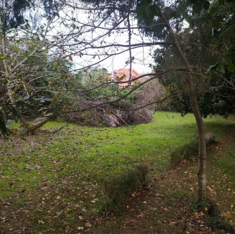 Terreno en avenida Ramón Núñez Montero, 55