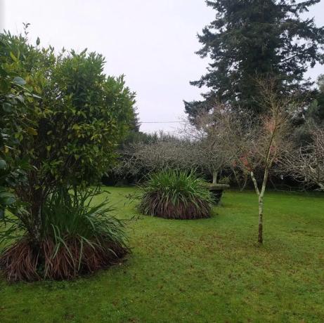 Terreno en avenida Ramón Núñez Montero, 55