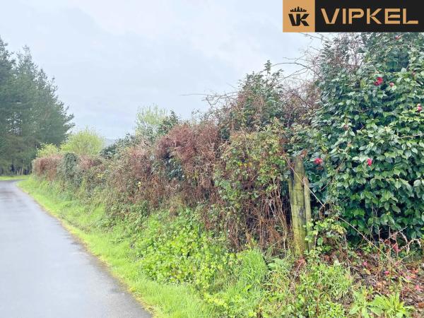 Terreno en Lugar Fondo de Leiro