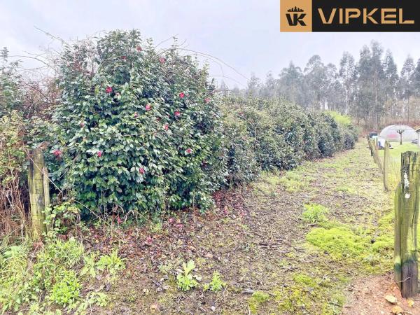 Terreno en Lugar Fondo de Leiro
