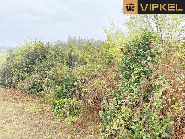 Terreno en Lugar Fondo de Leiro