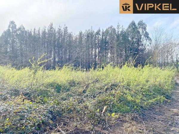 Terreno en Leiro
