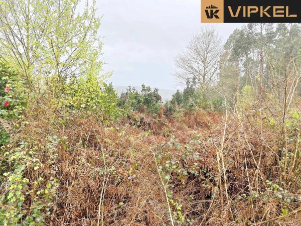 Terreno en Lugar Fondo de Leiro