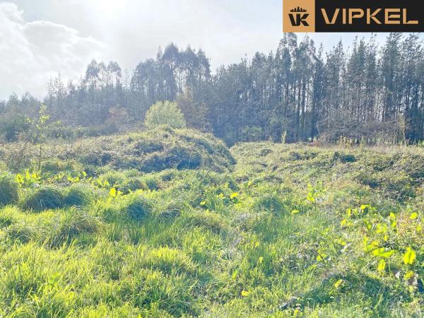 Terreno en Leiro