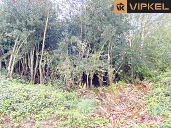 Terreno en Lugar Campo de Nuestra Señora de la Saleta