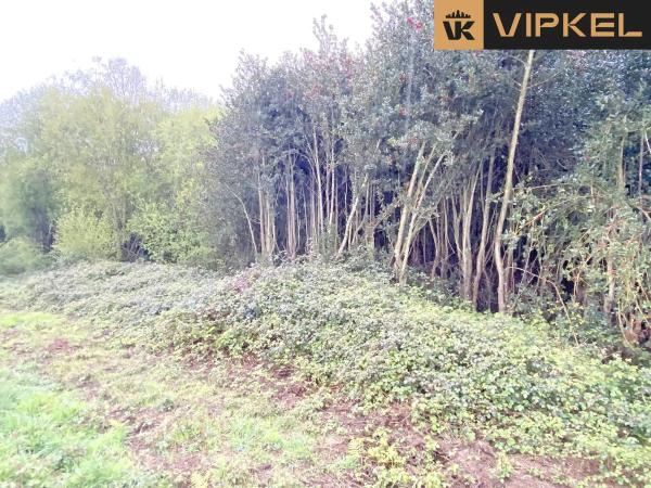 Terreno en Lugar Campo de Nuestra Señora de la Saleta