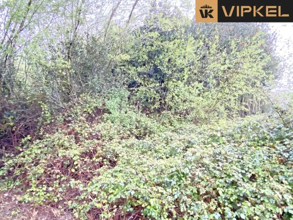 Terreno en Lugar Campo de Nuestra Señora de la Saleta