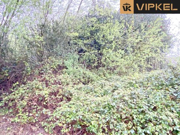 Terreno en Lugar Campo de Nuestra Señora de la Saleta