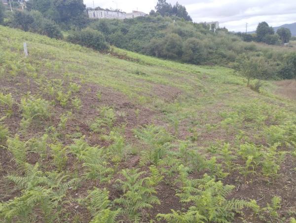 Terreno en camino Lugar