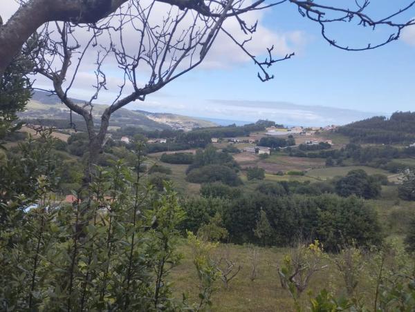 Terreno en camino Lugar