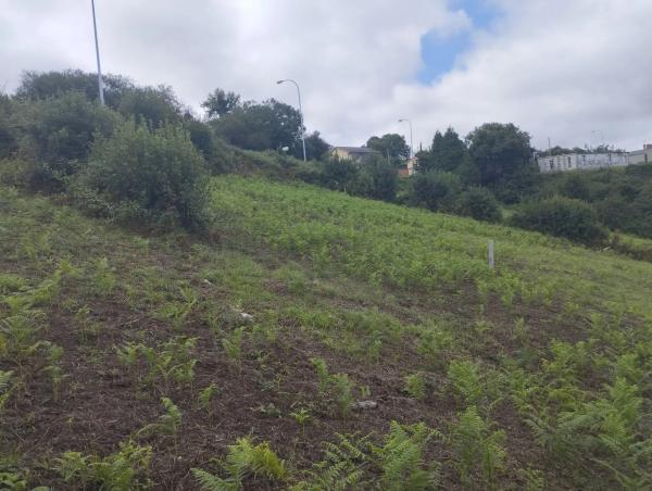 Terreno en camino Lugar