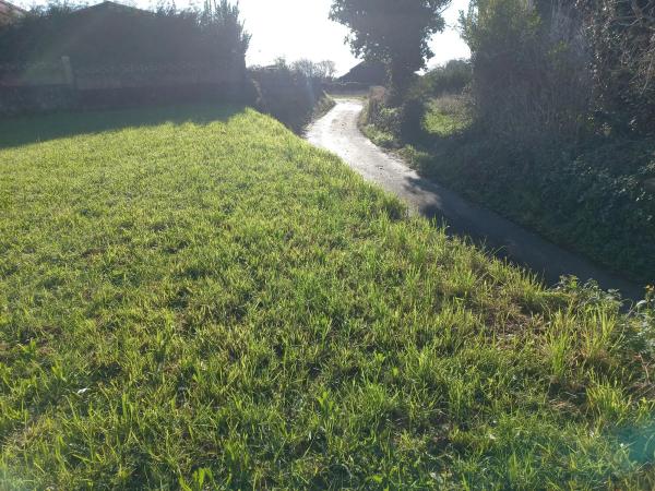 Terreno en calle Bouza
