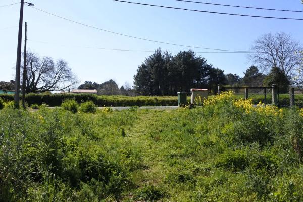 Terreno en el casal s/n