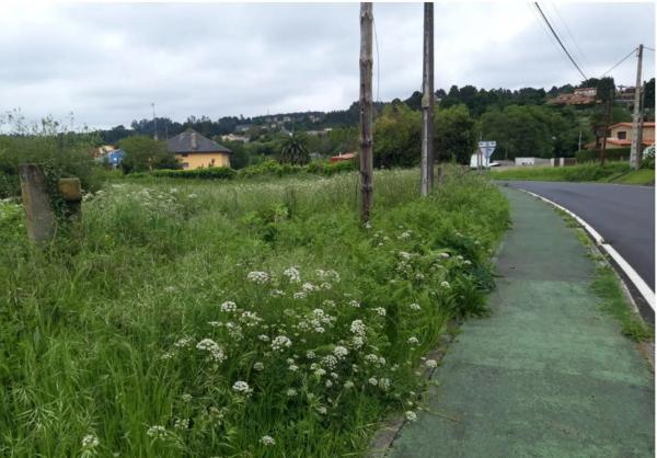 Terreno en calle Chaburra