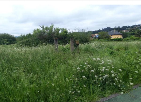 Terreno en calle Chaburra