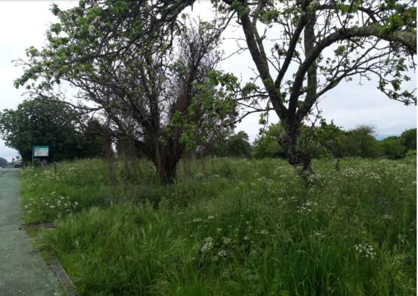 Terreno en calle Chaburra