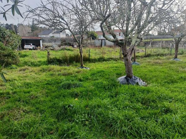 Terreno en Aldea Samoedo