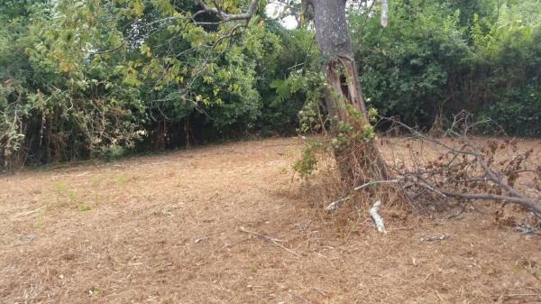 Terreno en Brexo Lema