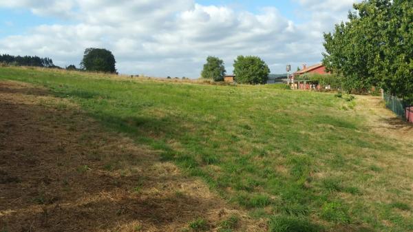 Terreno en Brexo Lema