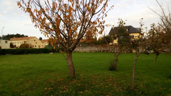 Terreno en Perillo s/n