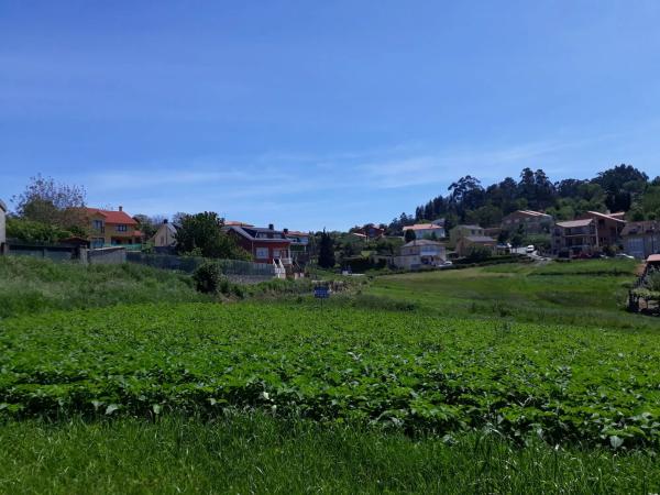 Terreno en calle Ras, 4